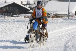 Lenk 2012 SM